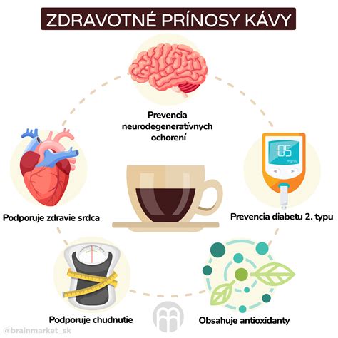 Infografika: kofeín a jeho účinky na mikrocirkuláciu krvi a kolagén