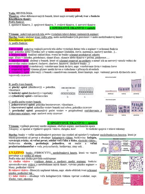 Schéma štruktúry normálnej kože verzus jazvovitého tkaniva s detailom na usporiadanie kolagénových vlákien