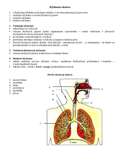 Infografika: Hlavné vonkajšie a vnútorné spúšťače citlivej pleti