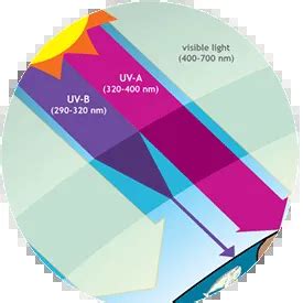 infografika o vplyve UV žiarenia na pokožku