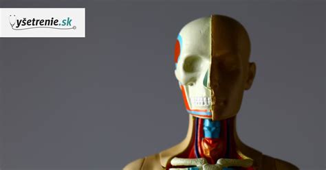 Ilustrácia rôznych typov MALT tkanív v ľudskom tele.