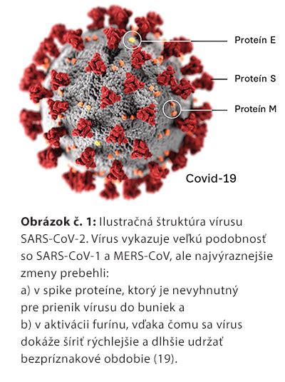 Schematické znázornenie vrodeného a získaného imunitného systému.