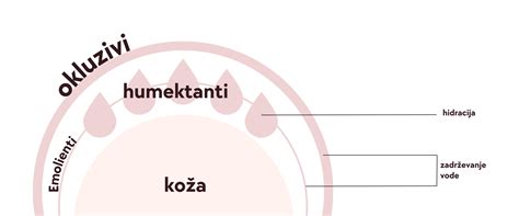 Infografika zobrazujúca pôsobenie humektantov, emolientov a okluzantov na pokožku