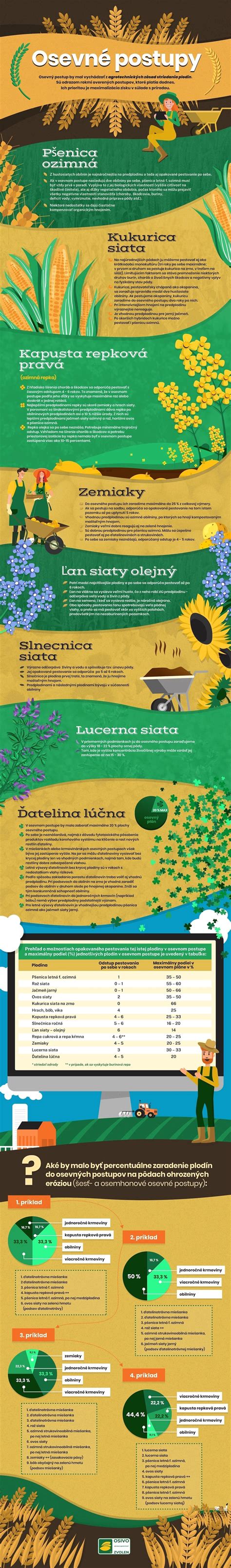 Infografika znázorňujúca správny postup prípravy domáceho soľného kúpeľa a následnej hydratácie