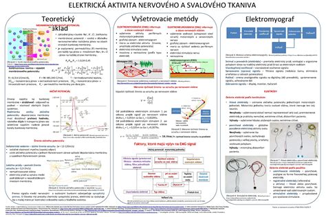 Infografika znázorňujúca proces prehrievania svalového tkaniva infračerveným žiarením
