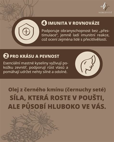 Infografika: Benefity borákového oleja pre pokožku s ekzémom