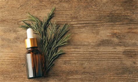 Fľaštička s tea tree olejom a list čajovníka