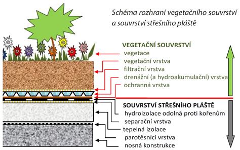 Schéma vrstiev pleti a vplyvu odličovania