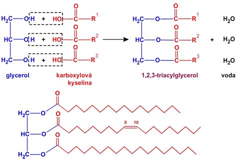 Schéma chemickej štruktúry kyseliny boritej a glycerolu s popiskami