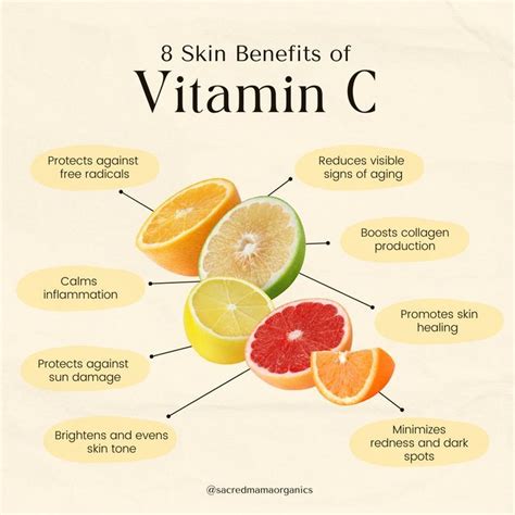 Infographic showing the vitamins and minerals in pumpkin and their benefits for skin (e.g., Vitamin C for collagen, Vitamin A for anti-aging)
