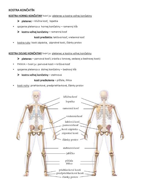Infografika o príznakoch zlého prekrvenia končatín
