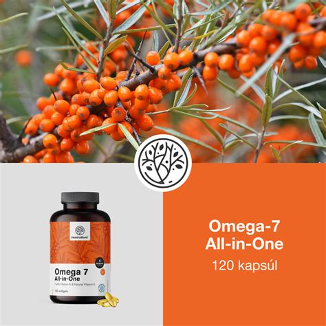 Infografika: zloženie rakytníka rešetliakového (omega kyseliny, vitamíny)