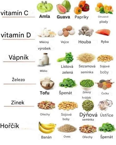 Infografika zobrazujúca nutričné zloženie žihľavy (vitamíny, minerály, antioxidanty).