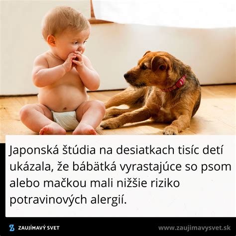 Tematické foto detí so psom v domácnosti