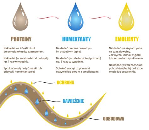 infografika znázorňujúca tri typy hydratačných zložiek: humektanty (zvlhčujú), emolienty (zmäkčujú) a okluzanty (uzamykajú vlahu)