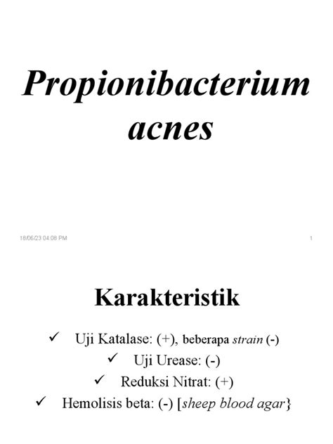 Ilustrácia baktérie Propionibacterium acnes v upchatom folikule