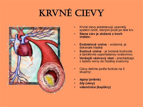 infografika o rozšírení krvných ciev v pokožke