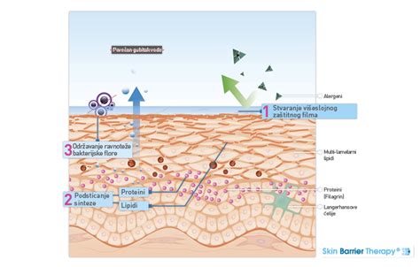 Schéma pôsobenia technológie Skin Relief a patentu Skin Barrier Therapy v SOS spreji