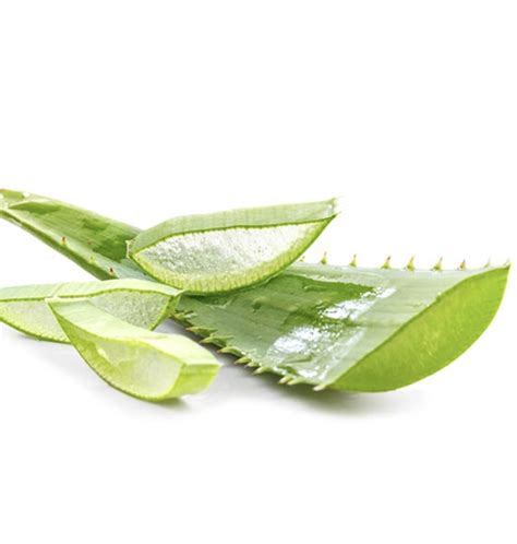 Infografika: Zložky pre domácu liečbu akné (tea tree, aloe vera, med)