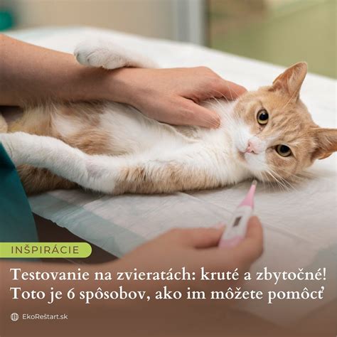 Tematické foto: laboratórne testovanie, kozmetika a zvieratá