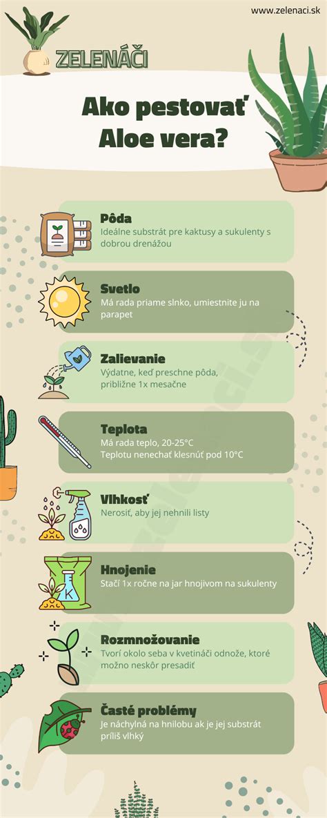 infografika o benefitoch aloe vera pre pleť