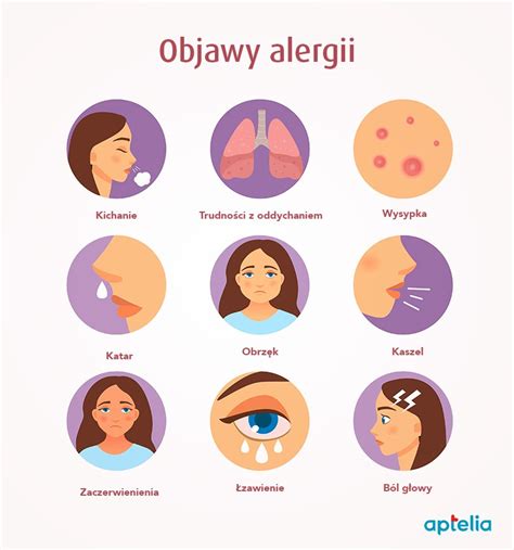 Ilustrácia znázorňujúca mechanizmus kašľového reflexu pri alergii
