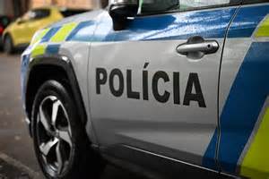 Ilustrácia znázorňujúca T-zónu tváre s označením čela, nosa a brady.