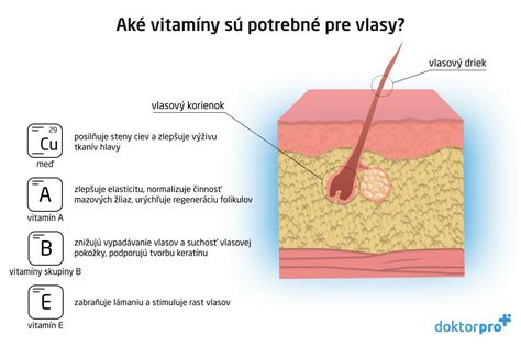 Schéma: Príčiny problémov s jazykom (infekcie, nedostatok vitamínov, mechanické poškodenie)