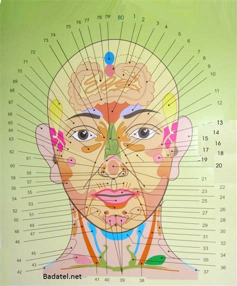 mapa ľudskej tváre s vyznačenými zónami typickými pre rôzne typy akné