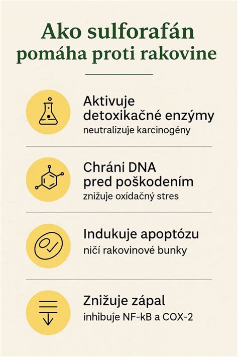 Infografika zobrazujúca proces fototerapie alebo biologickej liečby