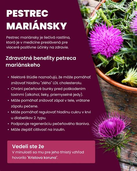 Schéma účinkov Pestreca mariánskeho na organizmus