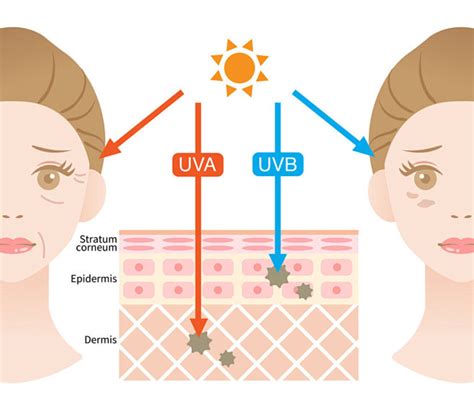 Schéma zobrazujúca mechanizmus ochrany technológie Sun Active Defense pred UVA a UVB žiarením.