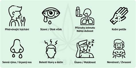 Ilustrácia s rôznymi štádiami prejavov kontaktnej dermatitídy na detskej pokožke - začervenanie, pľuzgieriky, suché šupinaté ložiská.