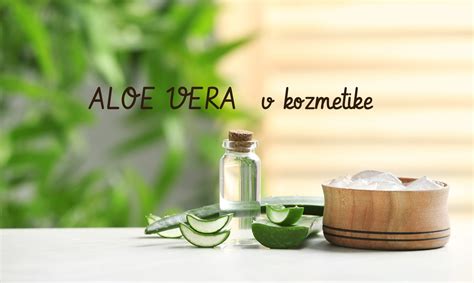 koláž prírodných zložiek používaných v kozmetike (aloe vera, harmanček, tea tree)
