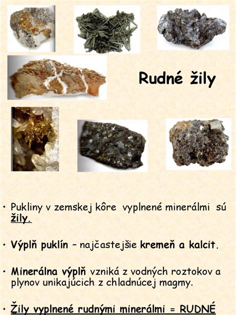 Ilustrácia znázorňujúca vnútornú stavbu žily s funkčnými a poškodenými chlopňami.