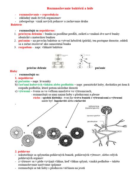 Schéma znázorňujúca pôsobenie zložky Phylobioma na kožný mikrobióm a redukciu baktérií C. acnes.