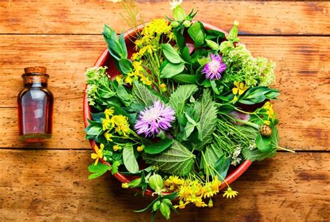 Obrázok znázorňujúci rôzne prírodné zložky a bylinky používané pri liečbe ekzému.