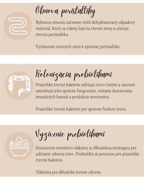 Schéma vplyvu črevnej flóry na zdravie pokožky