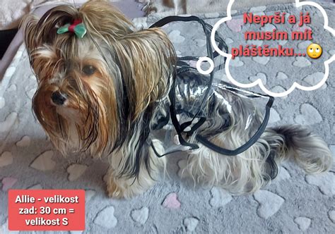 Detailná fotografia pokožky psa postihnutej seboreou