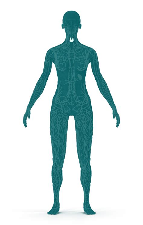 Obrázok 3: Lymfoscintigrafia s identifikáciou sentinelovej uzliny.