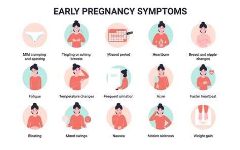 Ilustrácia znázorňujúca časovú os tehotenstva od poslednej menštruácie po implantáciu a prvé príznaky.