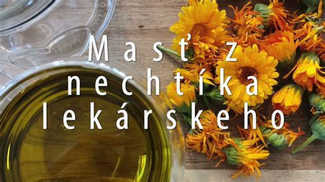 Infografika s postupom prípravy bylinkového oleja z nechtíka