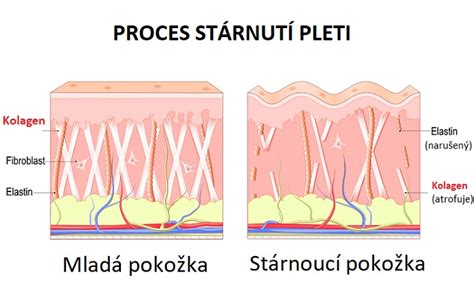 Ilustrácia znázorňujúca proces exfoliácie a hydratácie pleti